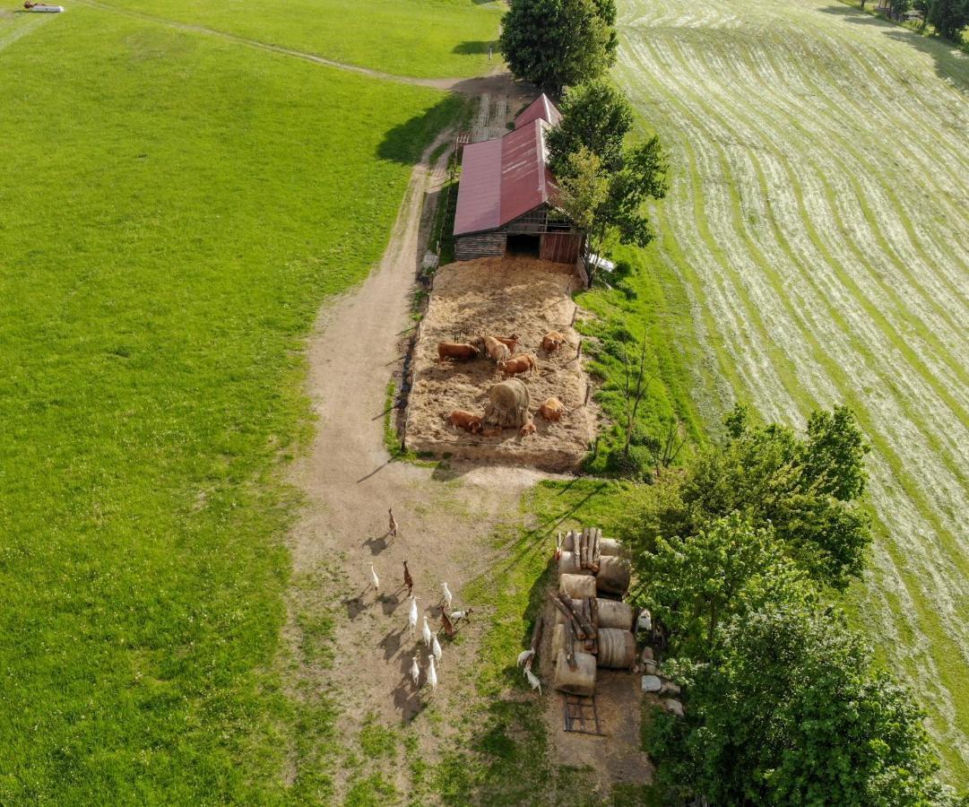 Vila Dylewianka Wysoka Wieś Exteriér fotografie