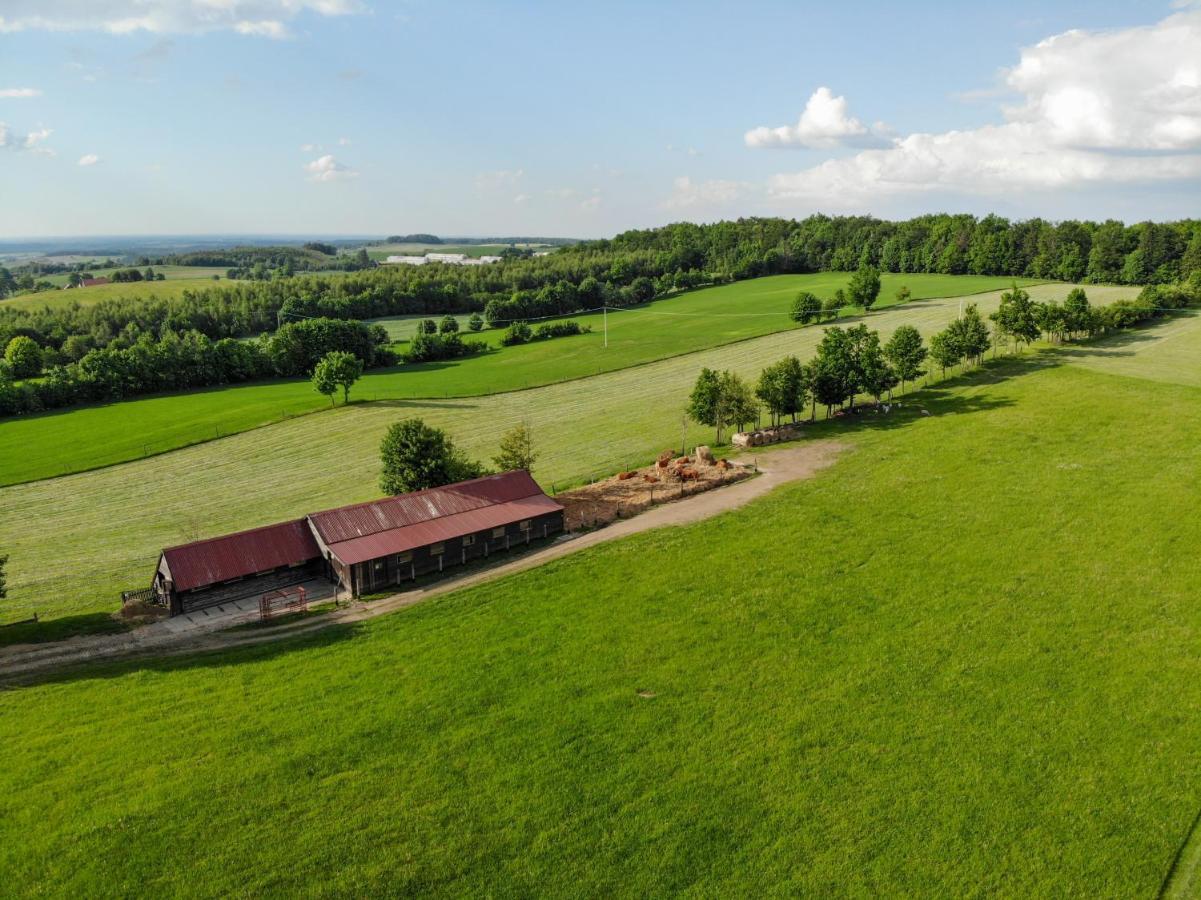 Vila Dylewianka Wysoka Wieś Exteriér fotografie