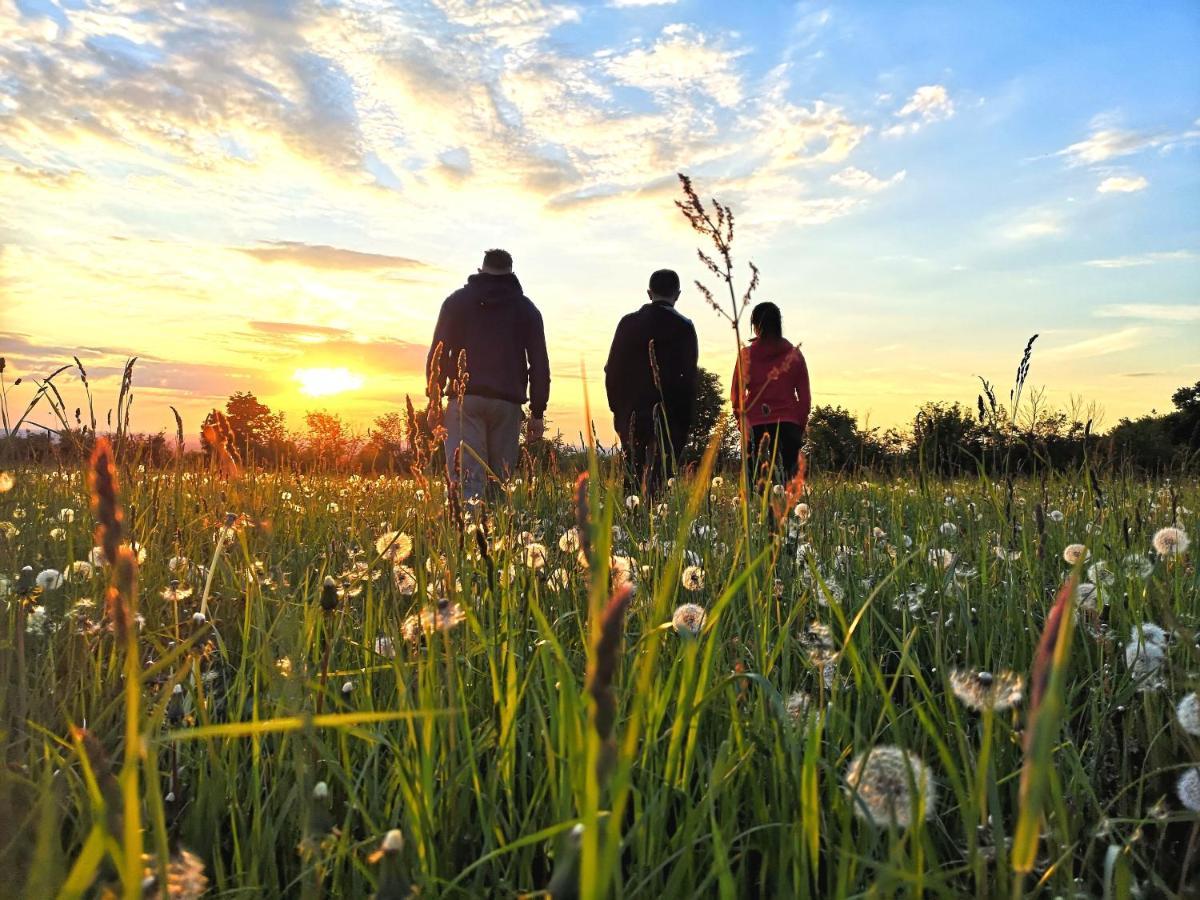 Vila Dylewianka Wysoka Wieś Exteriér fotografie