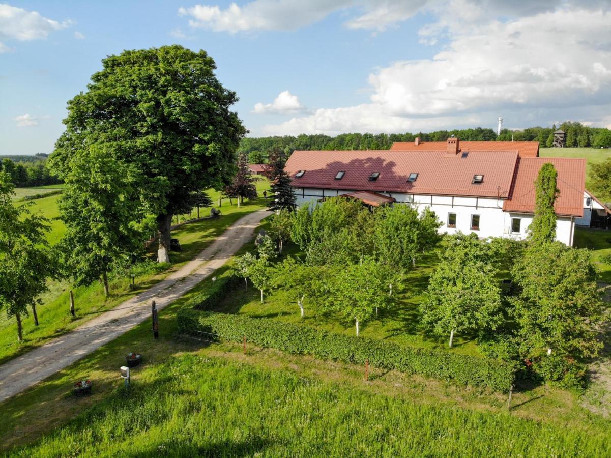 Vila Dylewianka Wysoka Wieś Exteriér fotografie
