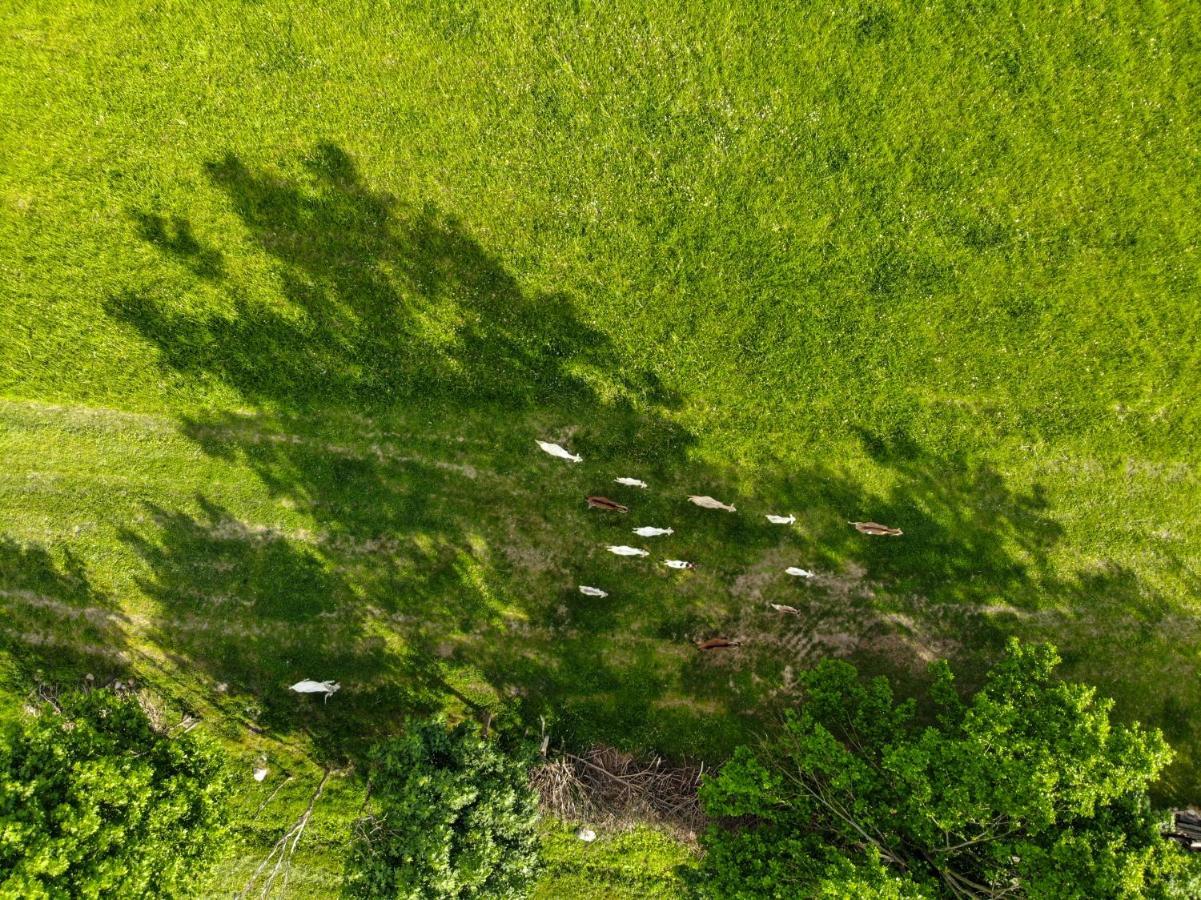 Vila Dylewianka Wysoka Wieś Exteriér fotografie