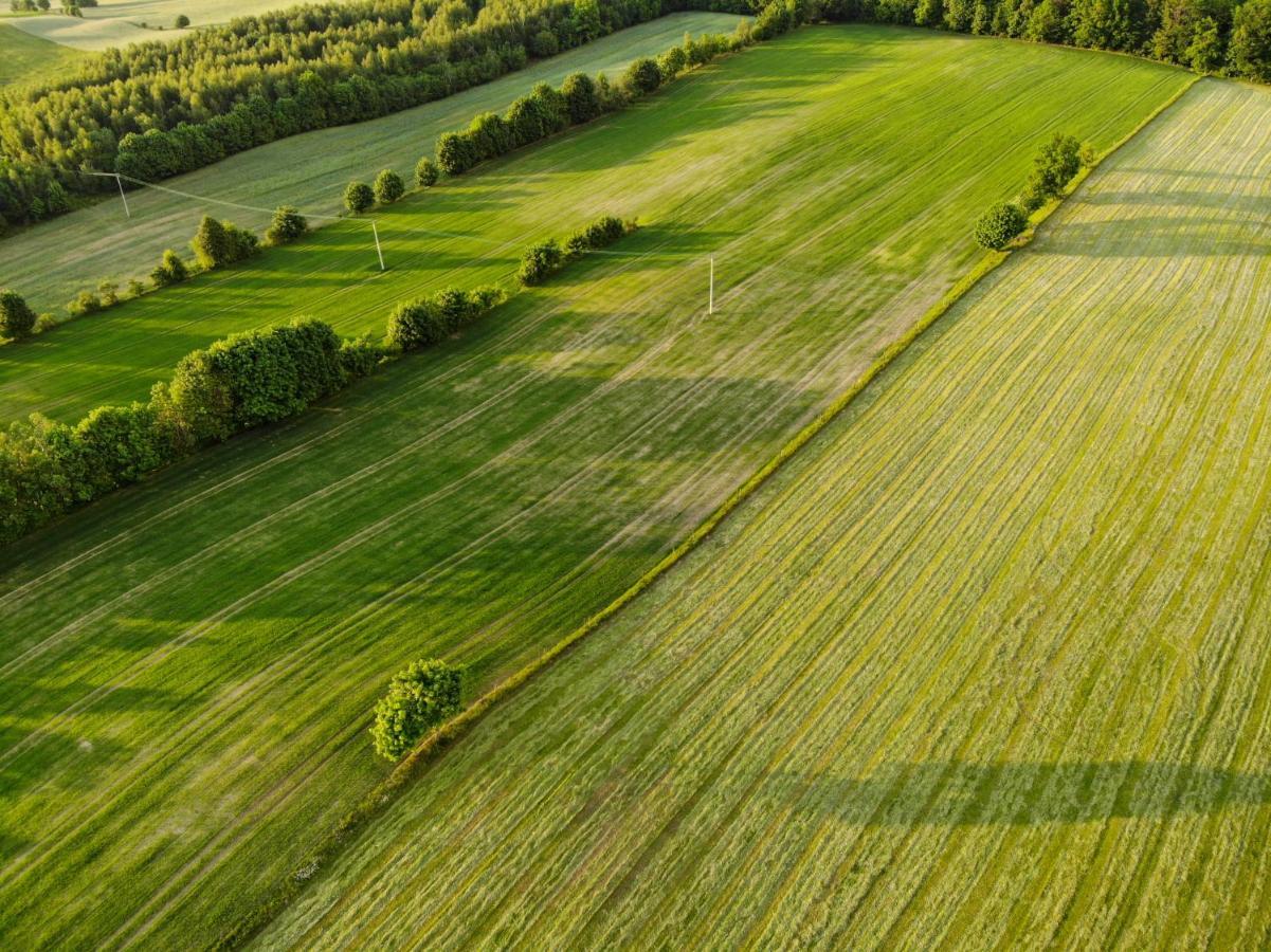 Vila Dylewianka Wysoka Wieś Exteriér fotografie