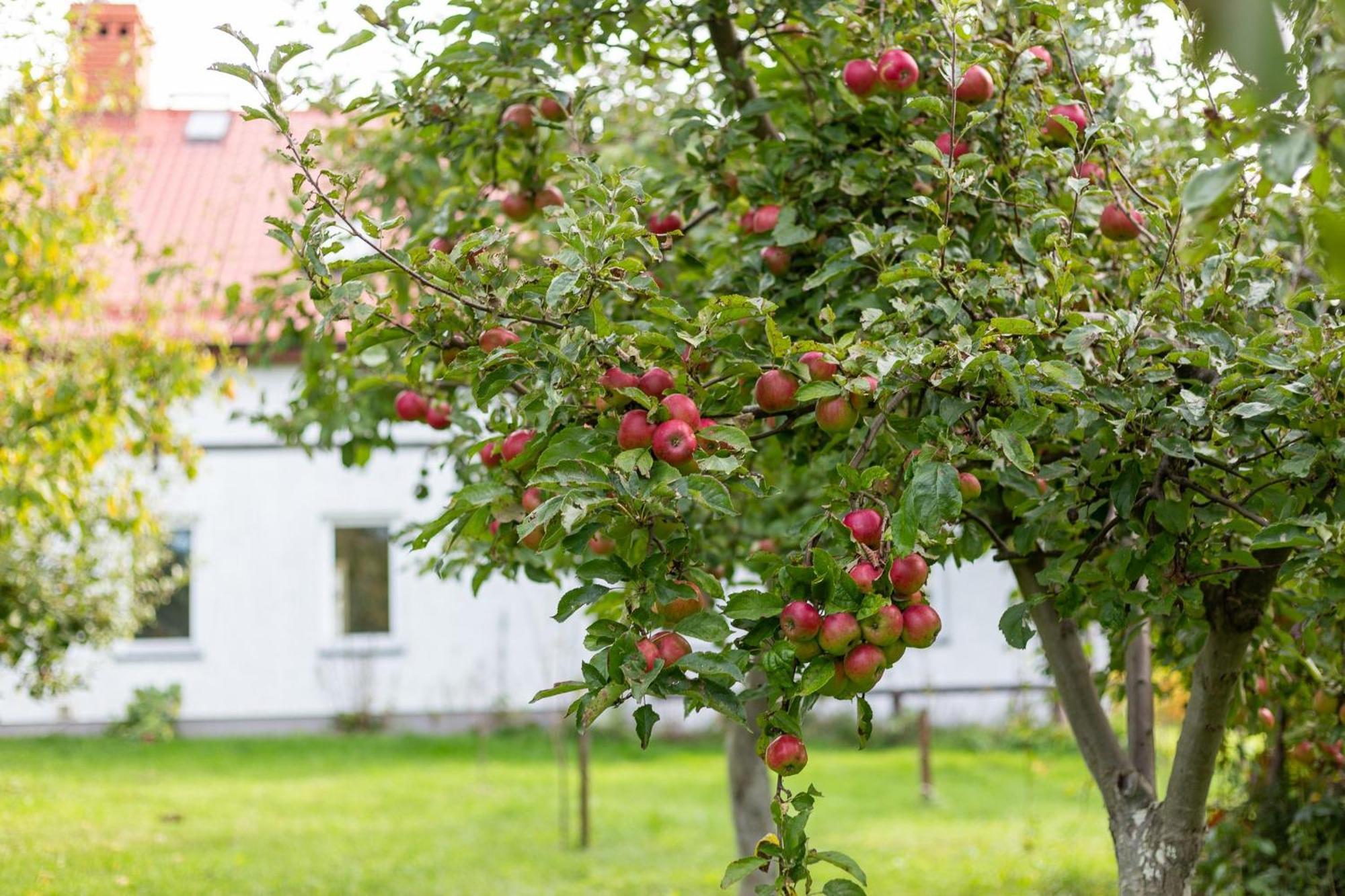 Vila Dylewianka Wysoka Wieś Exteriér fotografie