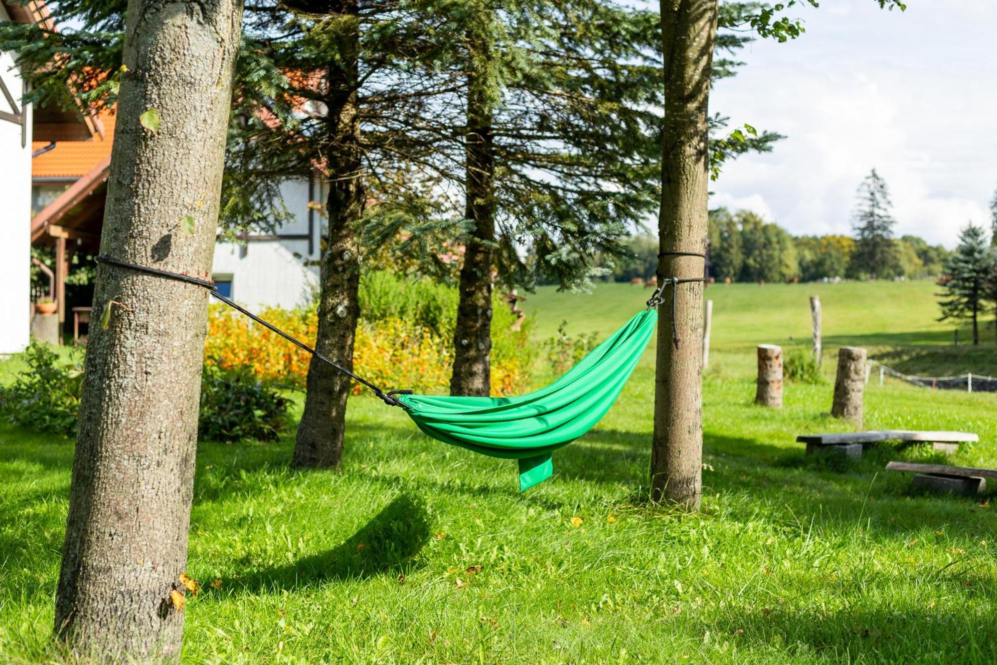 Vila Dylewianka Wysoka Wieś Exteriér fotografie