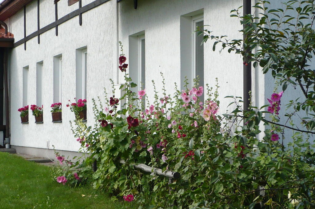 Vila Dylewianka Wysoka Wieś Exteriér fotografie
