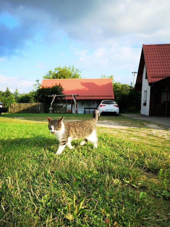 Vila Dylewianka Wysoka Wieś Exteriér fotografie